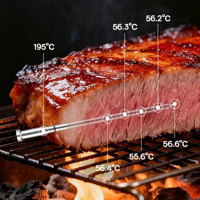 10. Meatmeet X Pro Kitchen Thermometer with Bluetooth/WiFi App for Grill, Oven, Smoker - Black