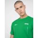 10. T-shirt 4F M 4FSS23TTSHM311-41S