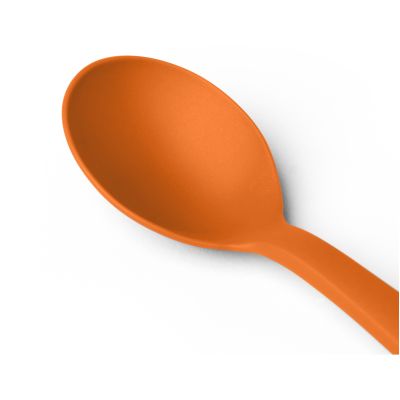 SEA TO SUMMIT Camp Cutlery Spoon