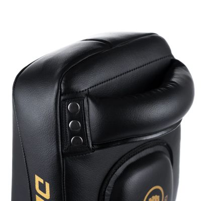 10. PAO Gold Thai Shields pair | ProFighter | DBX Bushido