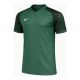 3. Nike Dri-FIT Trophy VI HV8151-302 T-Shirt
