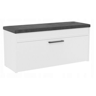 Shoe cabinet with storage PARMA 100x35xH49 white