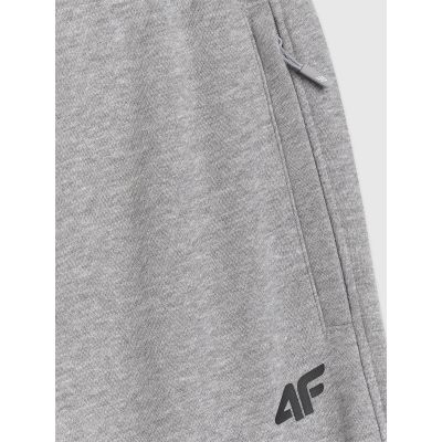 7. Men's jogger sweatpants 4F 4FRMM00TTROM1624-27M