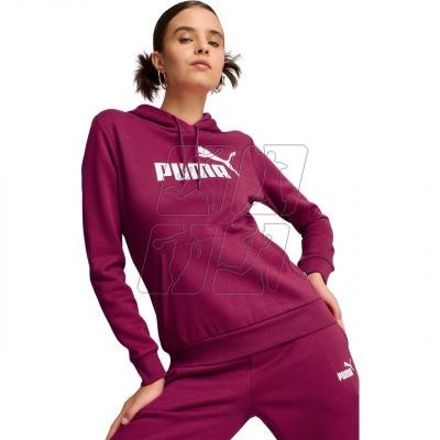 3. Puma ESS Logo Hoodie FL W 586789 52