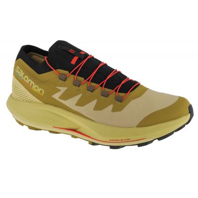 Salomon Pulsar Trail-Pro M 415936 shoes