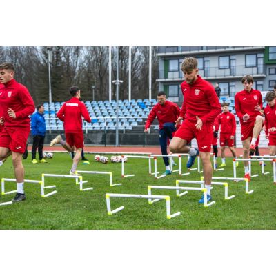 3. Pro Yakima Sport Training Hurdle 40cm 100083