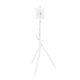 7. MACLEAN TV FLOOR MOUNT / STAND, 27-55", MAX. VESA 200X200, MAX. 60KG MC-181 W