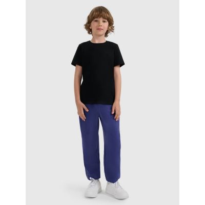 2. Boy's regular plain T-shirt 4F 4FJRMM00TTSHM3254-20S