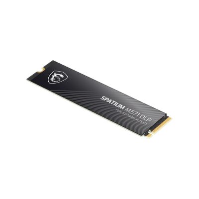 10. MSI SPATIUM M571 DLP PCIe 5.0 NVMe M.2 2TB SSD