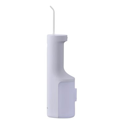 2. Panasonic EW-DJ26-V303 irrigator