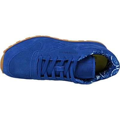 11. Reebok Classic Leather TDC JR BD5052 shoes