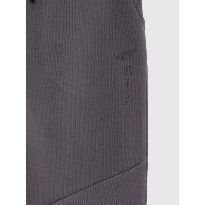 6. Boys' jogger sweatpants 4F 4FJRAW25TTROM1663-22S