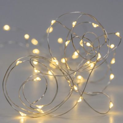 2. BATTERY-OPERATED WIRE STRING LIGHTS, 40 LEDS, WARM WHITE (R)