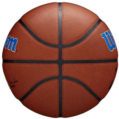 4. Wilson Team Alliance Philadelphia 76ers Ball WTB3100XBPHI Basketball