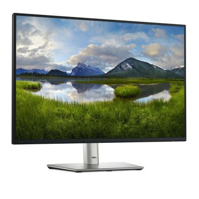 3. DELL P Series P2425 Computer Monitor 61.1 cm (24.1") 1920 x 1200 px WUXGA LCD Black