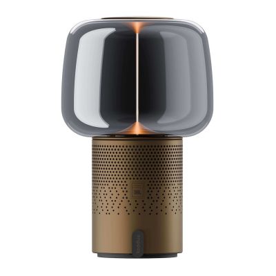 KOODUU SERENA PLAY Portable Lamp with Speaker - Brown