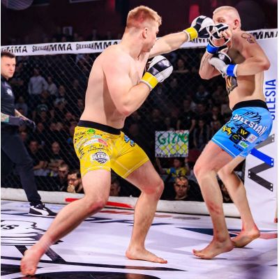 14. MMAsparring gloves S/M - Edge - Valor Series