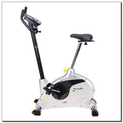 16. HMS M6993 Magnetic Bike
