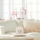 5. Medium Candle WARM CASHMERE YANKEE