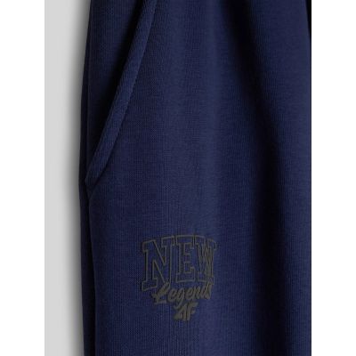 7. Boys' 4F Jogger Sweatpants 4FJRAW26TTROM2107-31S