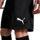 14. Puma Team Goal Men's Shorts Black 705752 03