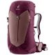 2. AC Lite 28 SL Backpack in Ashrose-Cassis