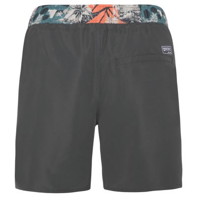 6. Men's Protest PRTESTEVO beach shorts