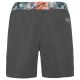 6. Men's Protest PRTESTEVO beach shorts