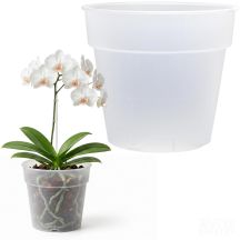 PLANTI POT TRANSPARENT 16CM