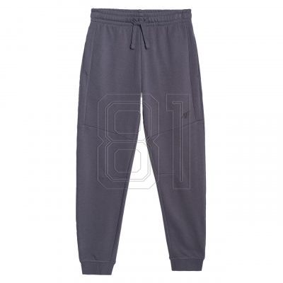 Trousers 4F M1369 Jr 4FJRSS25TTROM1369-22S