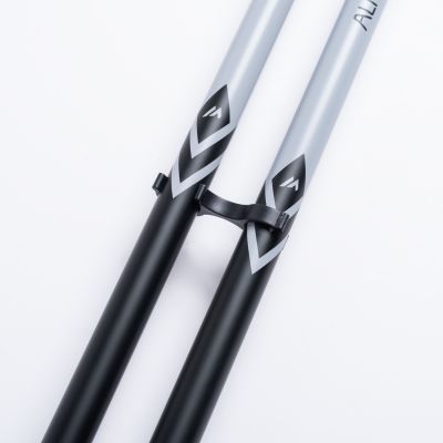 9. ALPINE SKI II poles