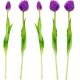 4. BOUQUET OF 5 PURPLE PEONY TULIPS 39 CM LIFE-LIKE SPRING DECORATION