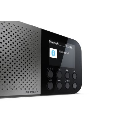 4. Sharp DR-P520 Personal Digital Gray