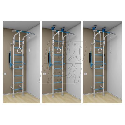 18. Wallbarz Gym EG-W-055 ladder