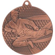 Bronze medal - karate - steel medal