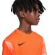 14. Nike Dry Park IV JSY LS GK Jr CJ6072-819