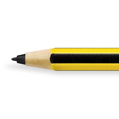 2. Samsung GP-U999ERIPA PDA Stylus 45g Black, Yellow