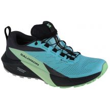 Salomon Sense Ride 5 GTX W 472160 running shoes