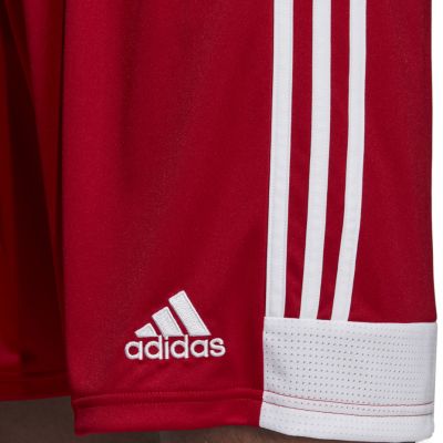 3. adidas Tastigo 19 Shorts M DP3681