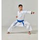 8. Extera Kata WKF BLUE karate kimono | MOOTO