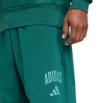 5. adidas Collegiate M JM9178 Pants