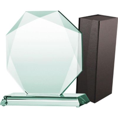 Glass trophy with case