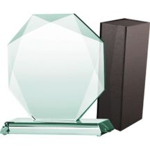 Glass trophy with case