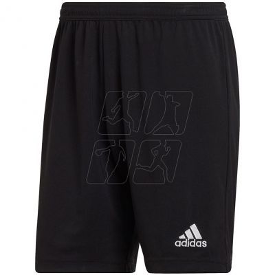 Adidas Entrada 22 M H57504 shorts