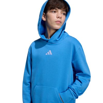 6. adidas Essentials Hoodie for kids blue KD3382