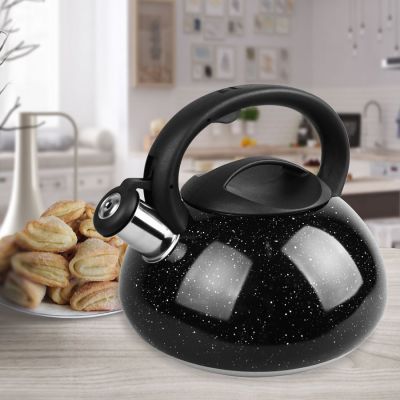 2. Kettle 3.0L MR-1316-BLACK MAESTRO