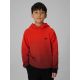 4. Boy's hoodie with all-over print 4F 4FJWAW26TSWSM2687-94A