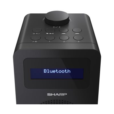5. Sharp DR-430 Personal Digital Black