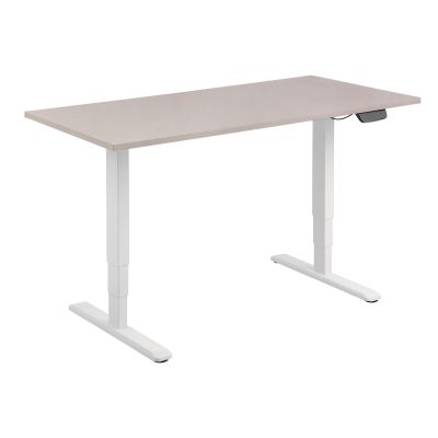 4. Dual Motor Electric Desk Frame Equipment 125kg WS Lite Retail