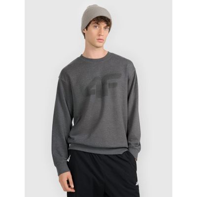Men's sweatshirt without zipper, without hood, 4F 4FRMM00TSWSM2479-23M